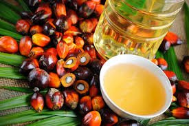 palm-oil-markets-and-cash-price-information-at-commoditybasis-1